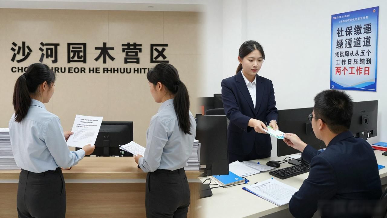 沙河园区数字货币_沙河园区数字人民币接入 商户结算员工发薪园区缴费 三百家商户接入